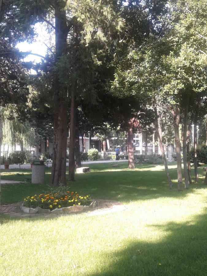 Apartment Voortex Trebinje Buitenkant foto